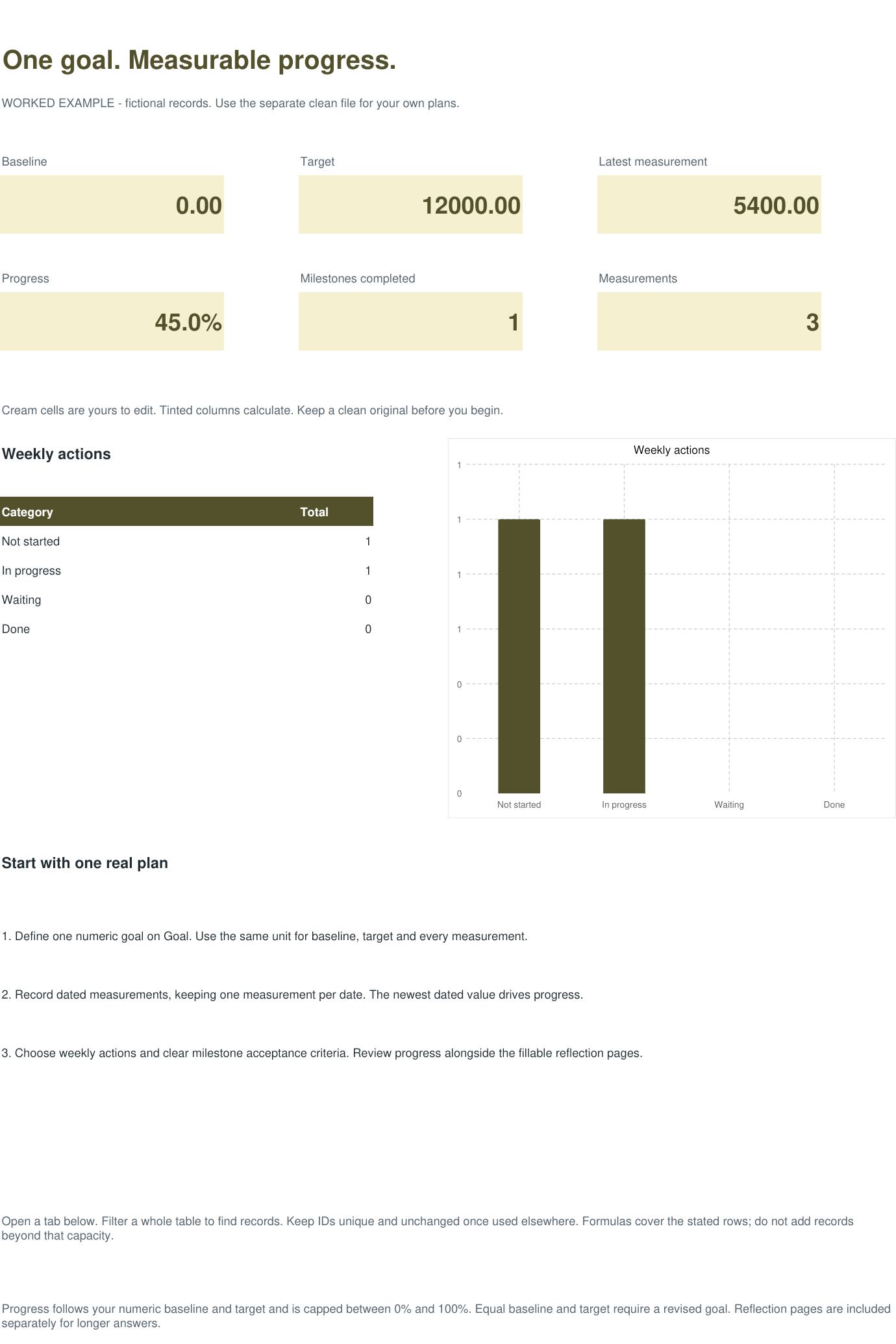 Actual workbook overview with fictional example records