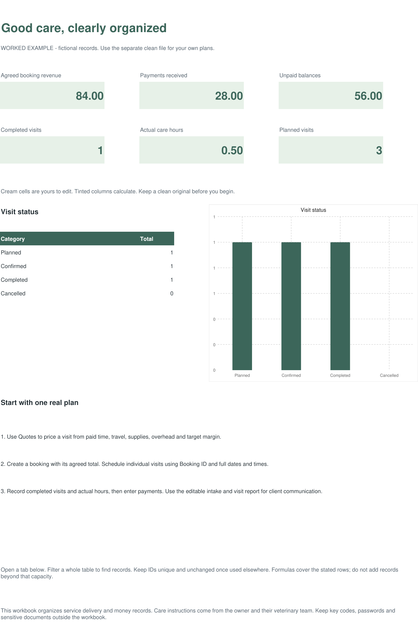 Actual workbook overview with fictional example records